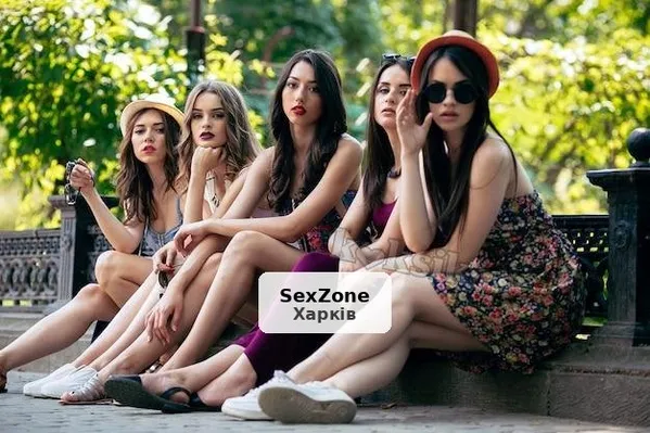 Котики в Харькове