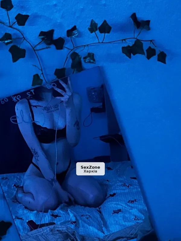 Лисиця