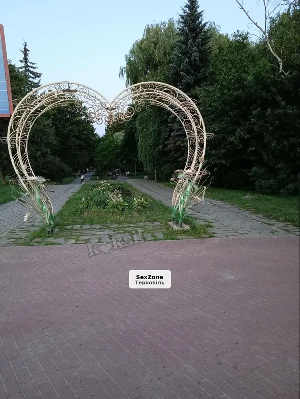 Любитель анального секса, 23/07 на пару часов
